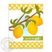 Sunny Studio You're the Zest Punny Lemon Tree Branch Yellow Gingham Summer Card using Background Basics Clear Border Stamps