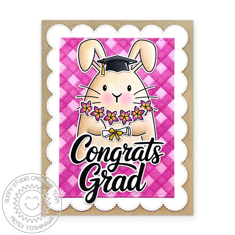 Sunny Studio 3x4 Clear Graduation The Graduate Stamps - Sunny