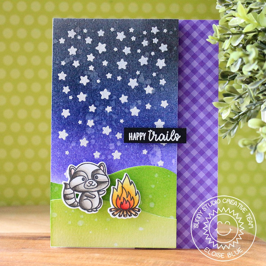 Sunny Studio Stamps Cascading Stars Raccoon Camping Card by Eloise
