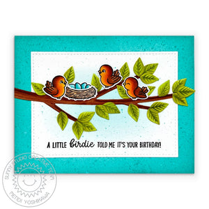 Sunny Studio Stamps A Little Birdie Told Me Robin Birds with Nest, Eggs & Tree Branch Birthday Card using Out on A Limb Dies