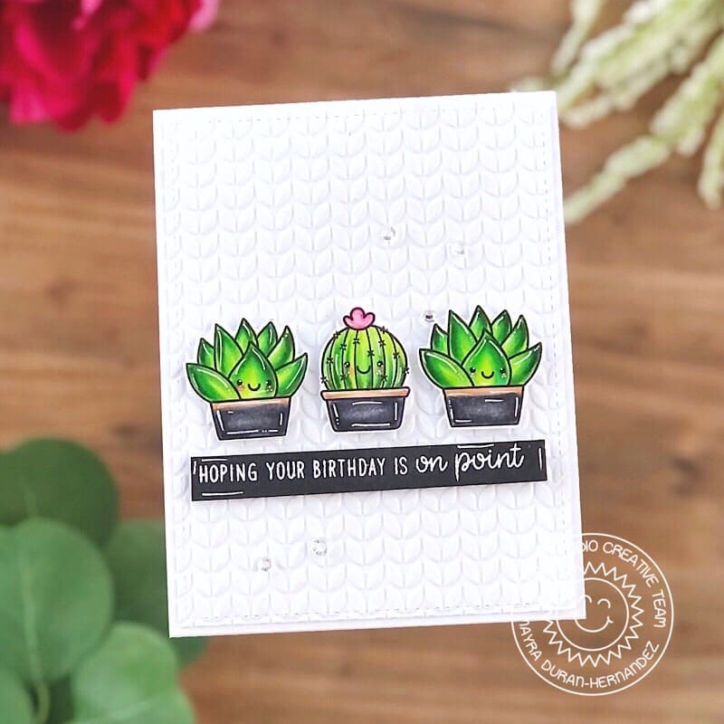 Sunny Studio Stamps Hoping Your Birthday Is On Point Cactus Embossed Card (using Cable Knit 6x6 Embossing Folder)