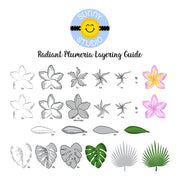 Sunny Studio Stamps Radiant Plumeria Tropical Flower & Leaves Ink Color Layering Layered Stamping Guide Chart