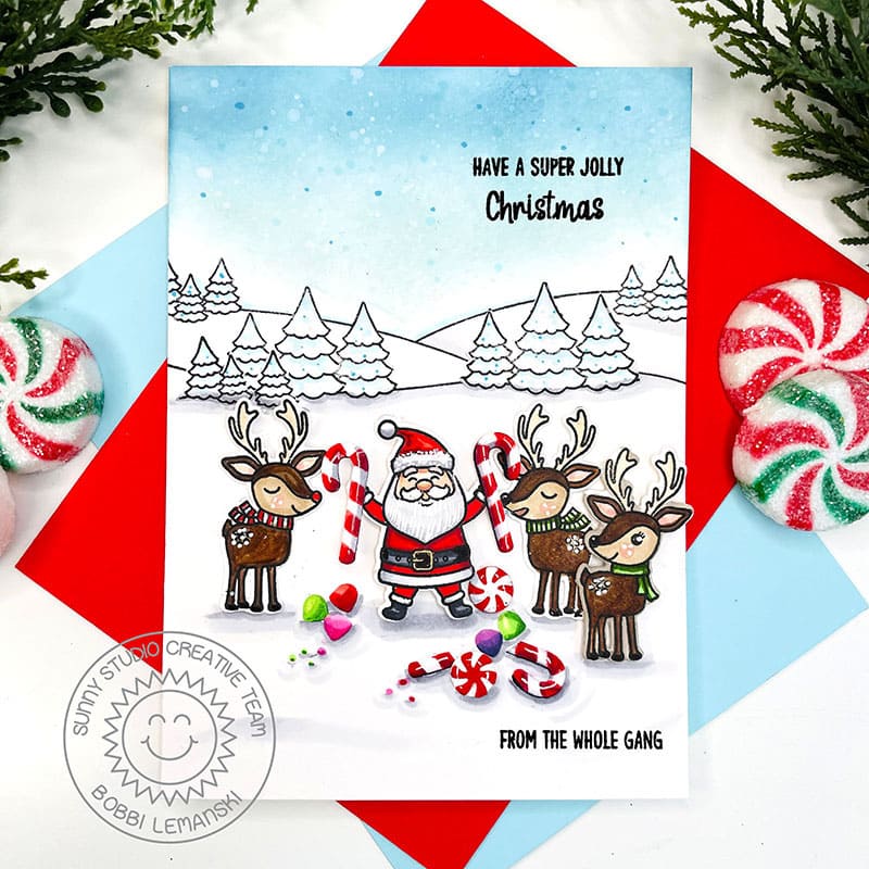 Sunny Studio Cozy Christmas 4x6 Holiday Clear Photo-polymer Stamps - Sunny  Studio Stamps