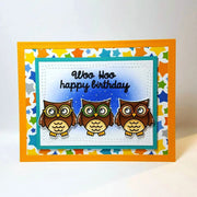 Sunny Studio 3 Owls with Colorful Star Background Birthday Card (using Woo Hoo 3x4 Clear Stamps)